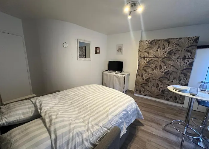 Superbe Miromesnil Elysee 公寓 巴黎